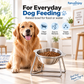 ⏳Time-Limited Special⏰15° Tilted Orthopaedic Feeding Bowl🥣🐾