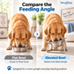 ⏳Time-Limited Special⏰15° Tilted Orthopaedic Feeding Bowl🥣🐾