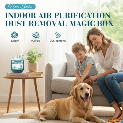 📢📢 60 %  DE RÉDUCTION !! ✨Boîte magique pour purifier l'air intérieur et éliminer la poussière🍋‍🟩