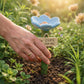 Abreuvoir en forme de fleur avec piquet de jardin pour abeilles