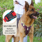 🐶 50% OFF NOW! 🛡️ No Pull Dog Harness with Leash & LED Collar – Secure & Comfortable ✨