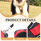 🐶 50% OFF NOW! 🛡️ No Pull Dog Harness with Leash & LED Collar – Secure & Comfortable ✨