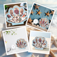 🐚 50% OFF NOW! ✨ Seashell Display Case with Acrylic Panel – Transparent & dustproof – Perfect for collections, crafts or souvenirs – elegant tabletop or shelf display 🏖️🌟