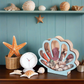 🐚 50% OFF NOW! ✨ Seashell Display Case with Acrylic Panel – Transparent & dustproof – Perfect for collections, crafts or souvenirs – elegant tabletop or shelf display 🏖️🌟
