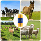 Livestock Full Massage Grooming Scratching Brush