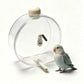 🐦Limited-time 50% off 💧 Clear Hanging Bird Drinker with Copper Pin – Touch-Activated, Easy-Fill & Leak-Proof Design 🌿