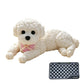 ⚡ 200 Units Sell Out Daily — Grab Yours Now!🐶💆‍♀️ Stressed? Squeeze this. Lifelike, soft, and satisfyingly squishy — the perfect desk companion for busy days. Instant stress relief, right at your fingertips. 🧸