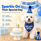 5-Piece Pet Birthday Party Dress Up Set with Plaid Triangle Bandana Bibs and Birthday Hat for Dogs and Cats