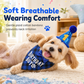 5-Piece Pet Birthday Party Dress Up Set with Plaid Triangle Bandana Bibs and Birthday Hat for Dogs and Cats