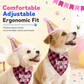 5-Piece Pet Birthday Party Dress Up Set with Plaid Triangle Bandana Bibs and Birthday Hat for Dogs and Cats