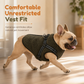 ⏳Limited-time 50% off⏰Warm Winter Dog Coat with Reflective Strips and Harness for Small and Medium Dogs🐶❄️