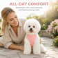 ⏳Limited-time 50% off💥Vest Style Dog Harness and Leash Set for Small and Medium Dogs