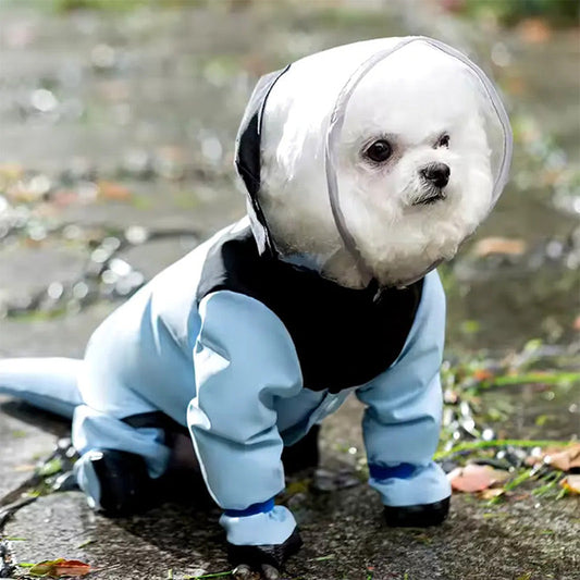 ⏳Limited-time 50% off💥🌧️ Full-Coverage Pet Raincoat – Waterproof & Easy to Wear