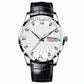 Men's Fashion Watch with Day Date Display Waterproof Luminous Hands and Alloy Steel Band