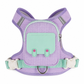 ⏳Limited-time 50% off💥Dog Harness with Backpack: Hands-Free, No-Choke Padded Vest, Reflective, Small Dogs